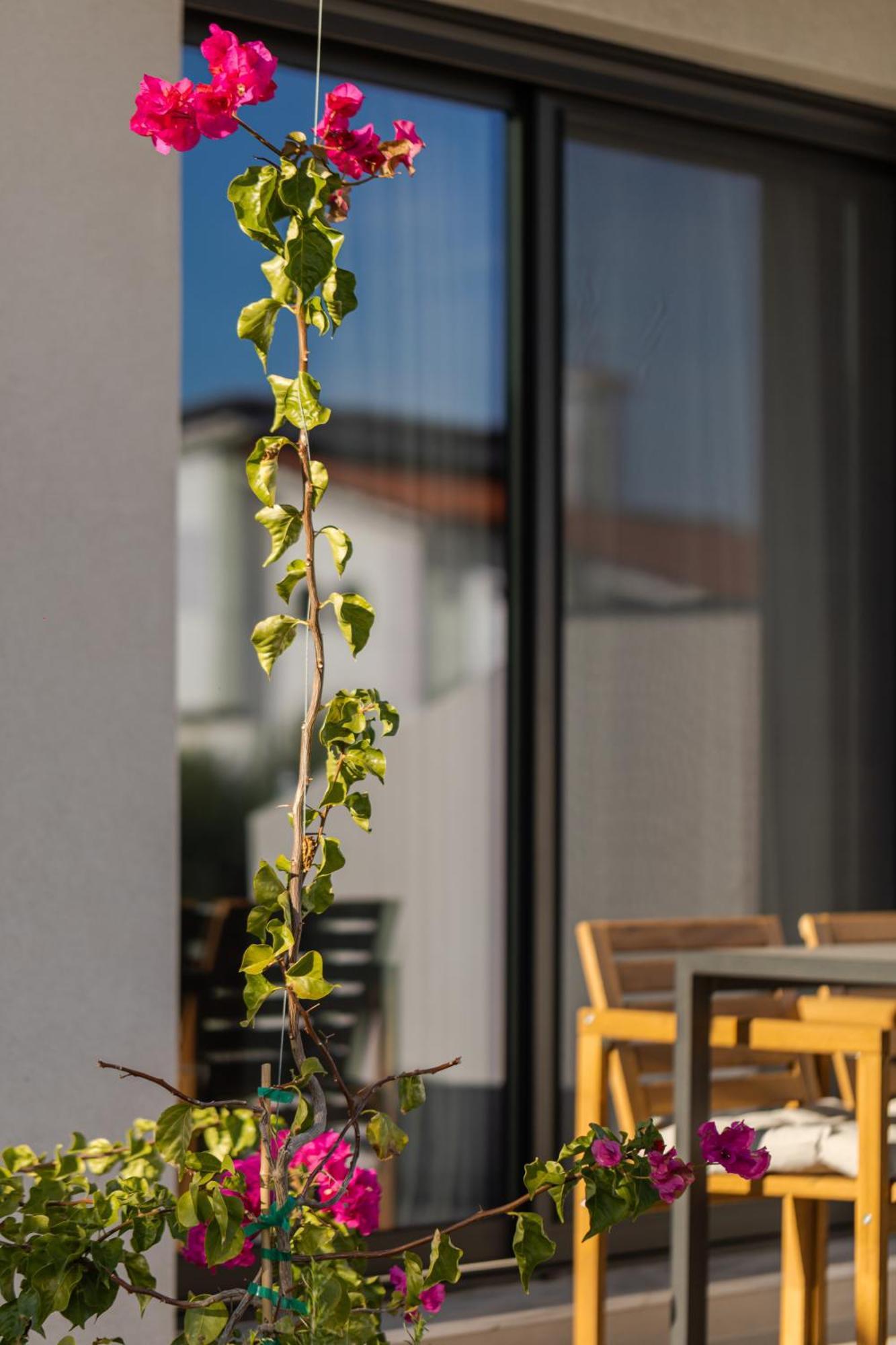 The 8 Suites Polychrono Buitenkant foto